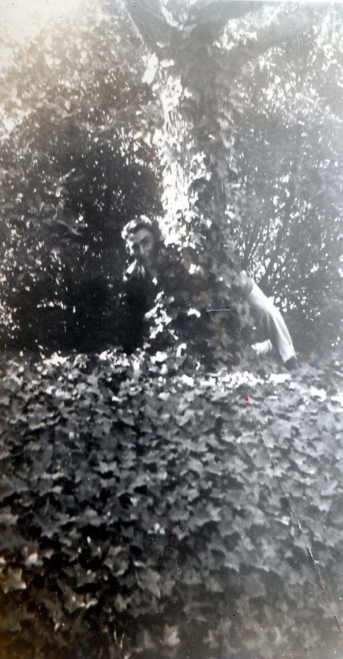 26