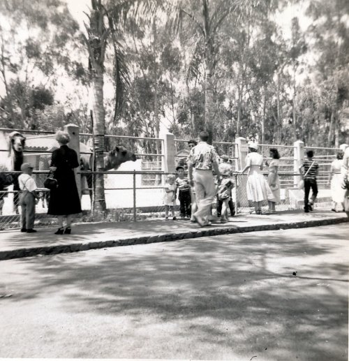 Lot at Running Springs 