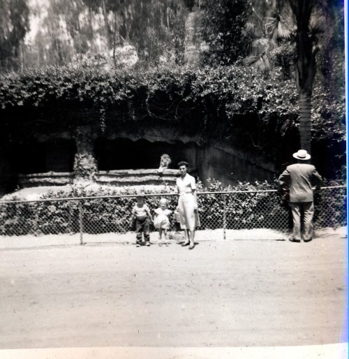 Lot at Running Springs 