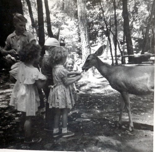 Our kids on horseback 