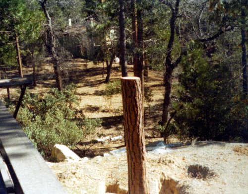 Our car in Wawona Tunnel Tree 