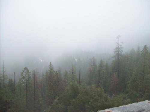 View of Yosemite Valley through storm 